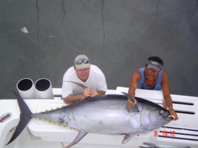 Kostner's 250 lb Yellowfin tuna
